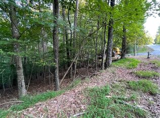 14 Lemmon Ln N, Ellijay, GA 30540