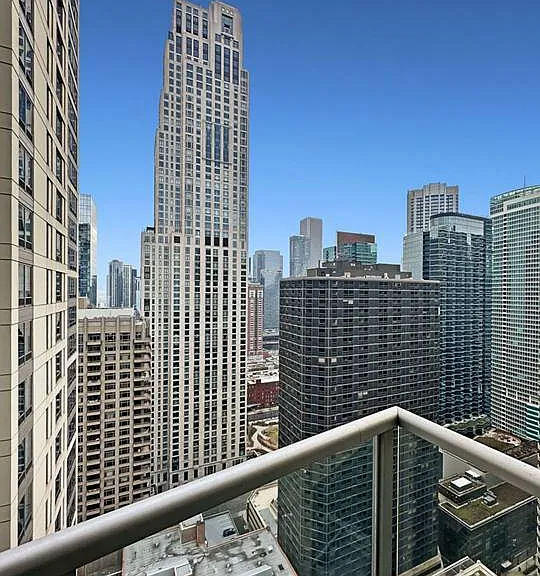 600 N Lake Shore Dr #3202 — Photo 16