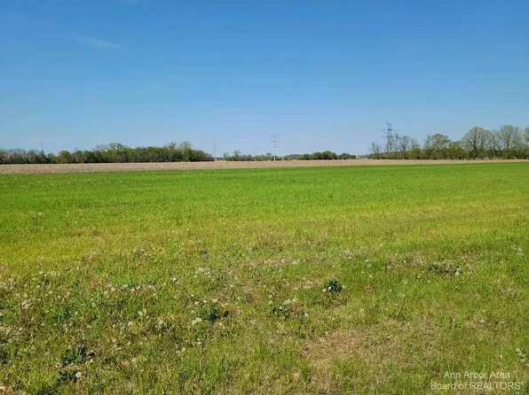 0 Willow Rd, Milan, MI 48160