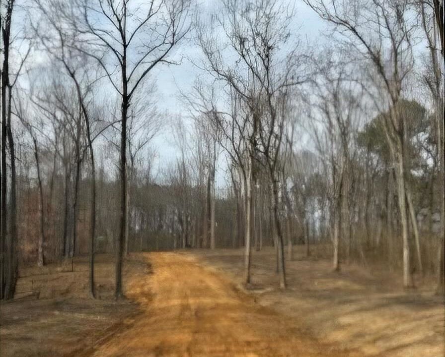 1st image of 0 County Road 1367 Lot 3