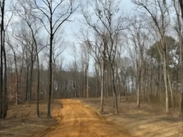0 County Road 1367 Lot 3, Vinemont, AL 35179