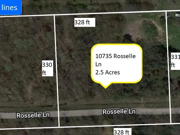 10735 Rosselle Ln, Northville, MI 48168