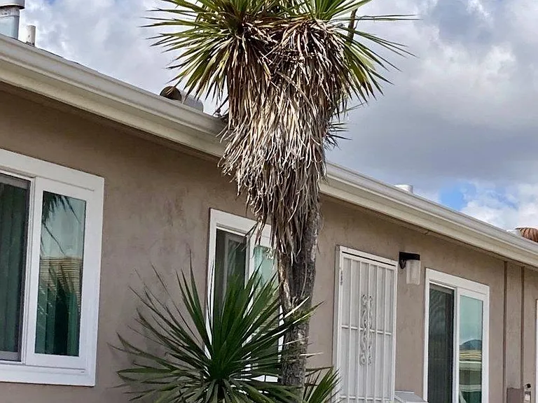 8835 La Mesa Blvd #C — Photo 8