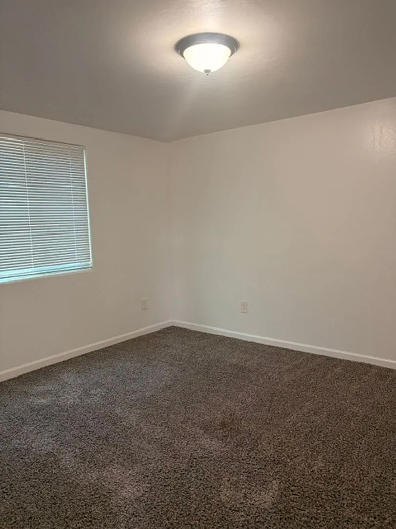 219 Lincoln St. #B- Back House — Photo 4