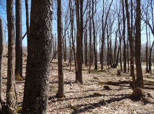 6183 Cass Rd, Slatyfork, WV 26291