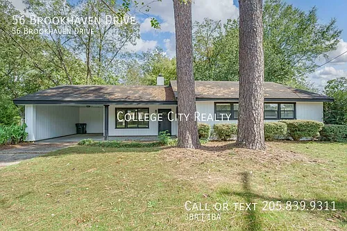 56 Brookhaven Dr Photo 1
