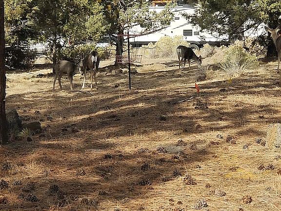 3rd image of 63042 Carnelian Ln