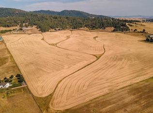 12206 S Jackson Rd, Mica, WA 99023