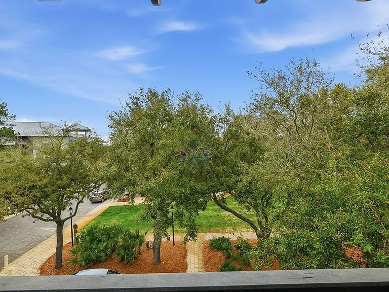 Window View