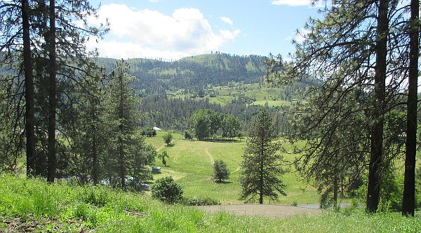 View of Neighbor's Pond