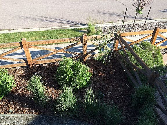 back yard from upper deck