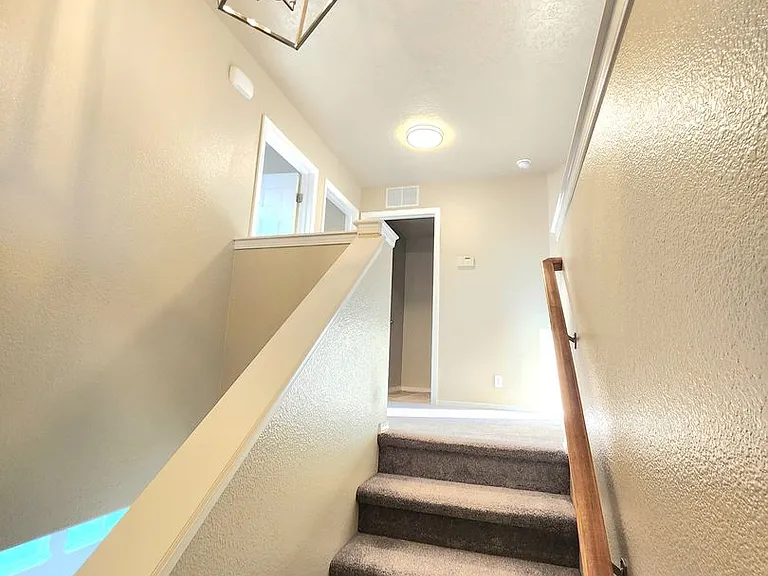 2517 Rankin Ct — Photo 12