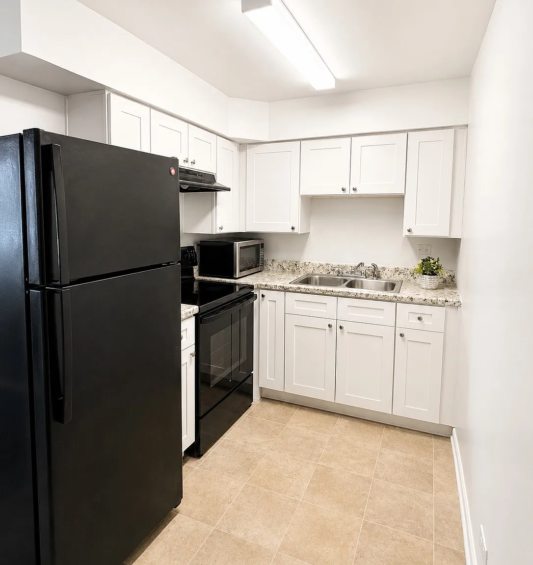 2 bed, 1000 sqft, $1,800 — Photo 4