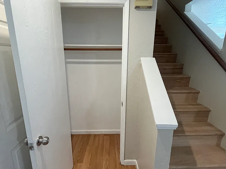 Downstairs Closet
