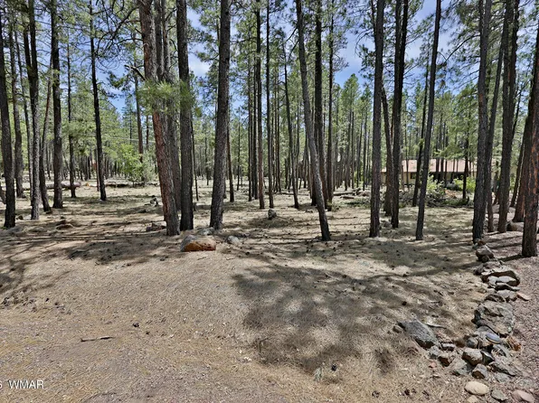 2682 Brahma Cir, Pinetop, AZ 85935