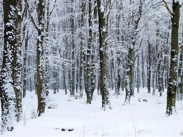 6004 Scenic Dr, Albrightsville, PA 18210