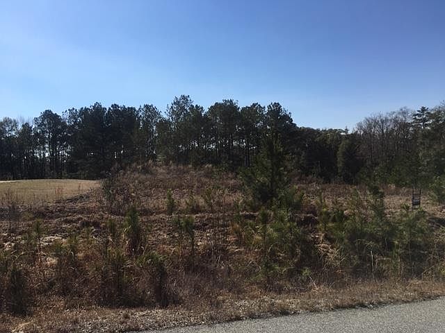2nd image of 25 Ihagee Creek Dr