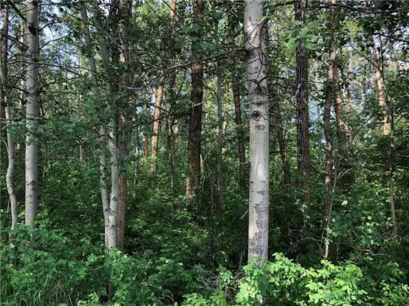 LOT 15 Campsite Rd, Lac La Biche County, AB T0A 2T0