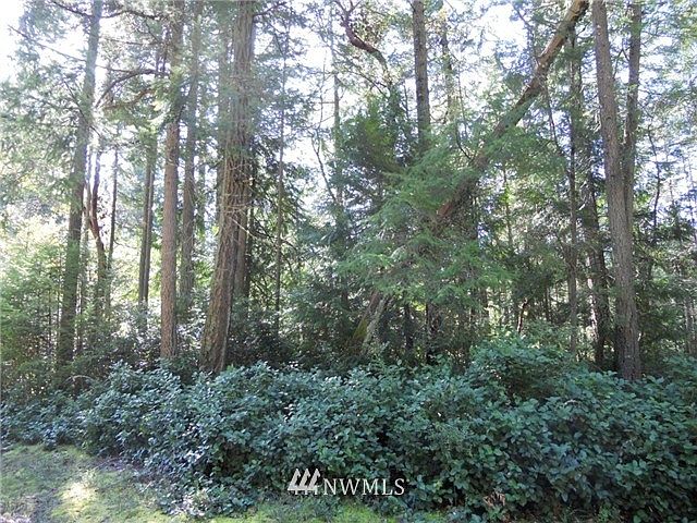 2nd image of 8916 126th Avenue Ct #AI