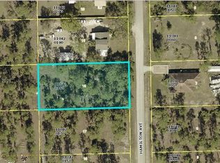 2311 Hamilton Ave, Alva, FL 33920