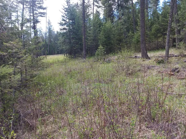 79X Mahoney Rd, Colville, WA 99114