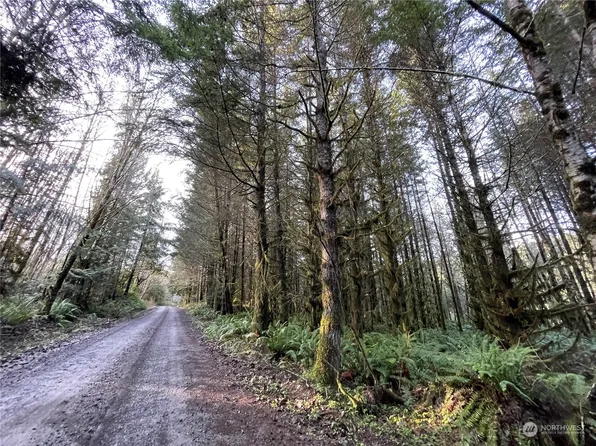 0 NA Oak Point Road, Longview, WA 98632