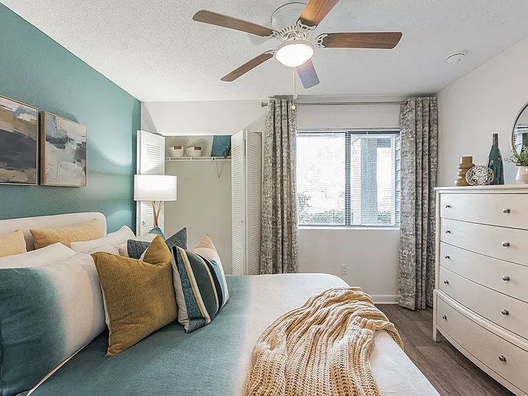 The Pointe at Carrollwood — Photo 12