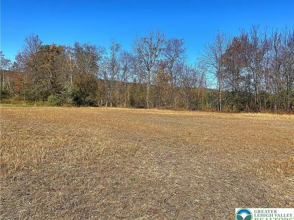 Allemaengel Rd Lot 6-2017027980, New Tripoli, PA 18066