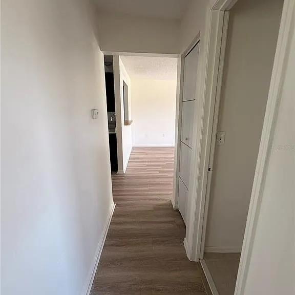 295 Cobalt Dr — Photo 14
