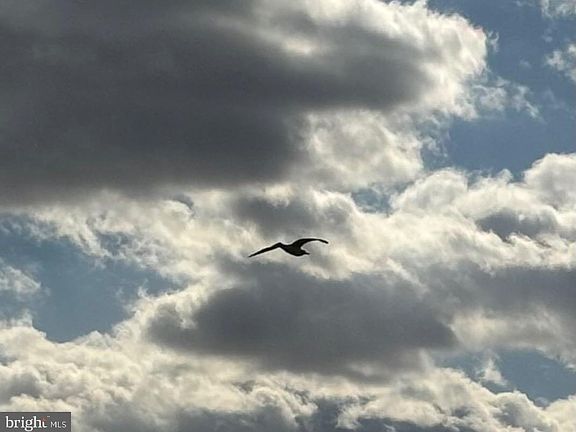 5th image of 886 Turkey Point Rd