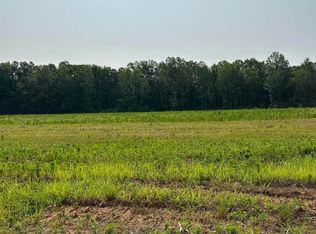 TRACT 41 Hays Mill Rd, Elkmont, AL 35620