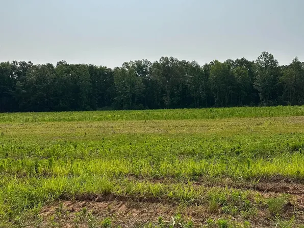 TRACT 41 Hays Mill Rd, Elkmont, AL 35620