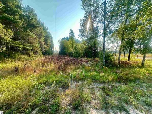 0 Ingersoll Rd, Fife Lake, MI 49633