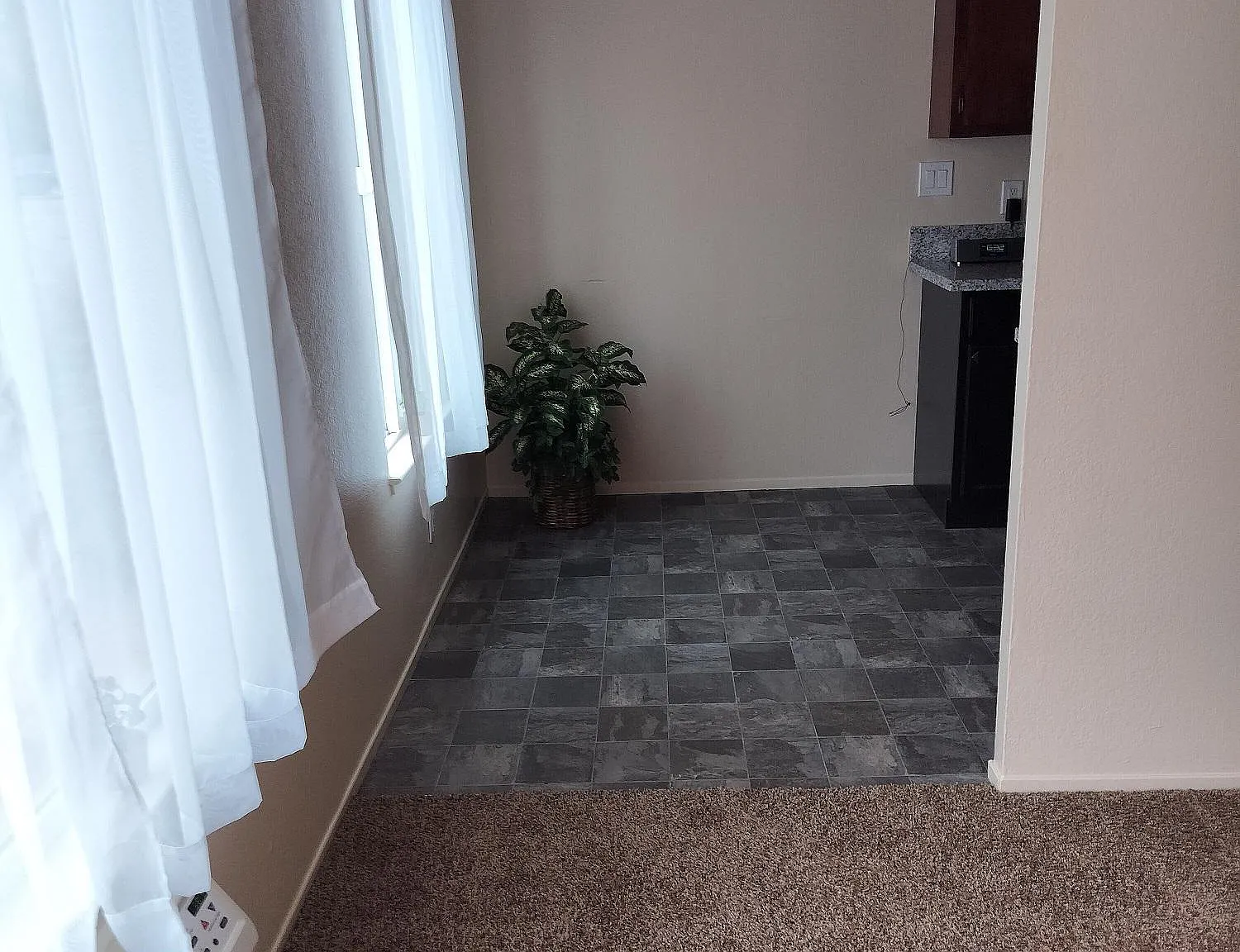 1 bed, $1,340 — Photo 3