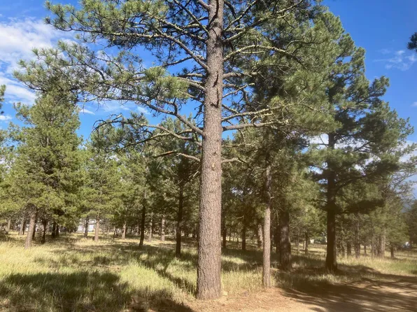 Lot 7 Pine Top Lane, Angel Fire, NM 87710
