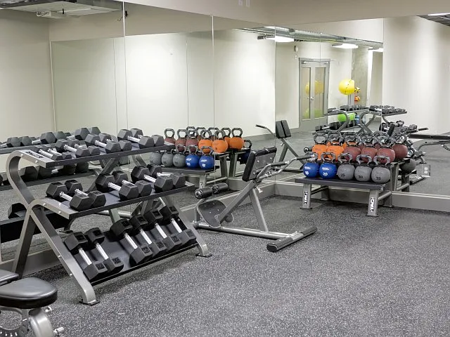 Weight Racks in Gym