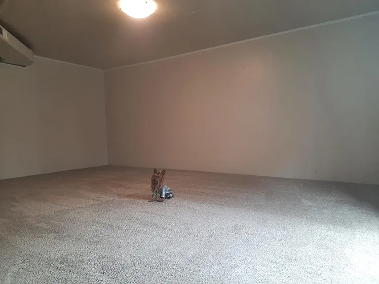 Walk-out basement