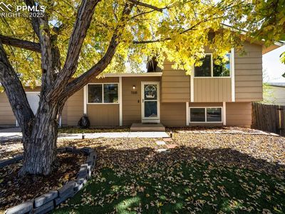 7335 Woodstock St, Colorado Springs, CO, 80911
