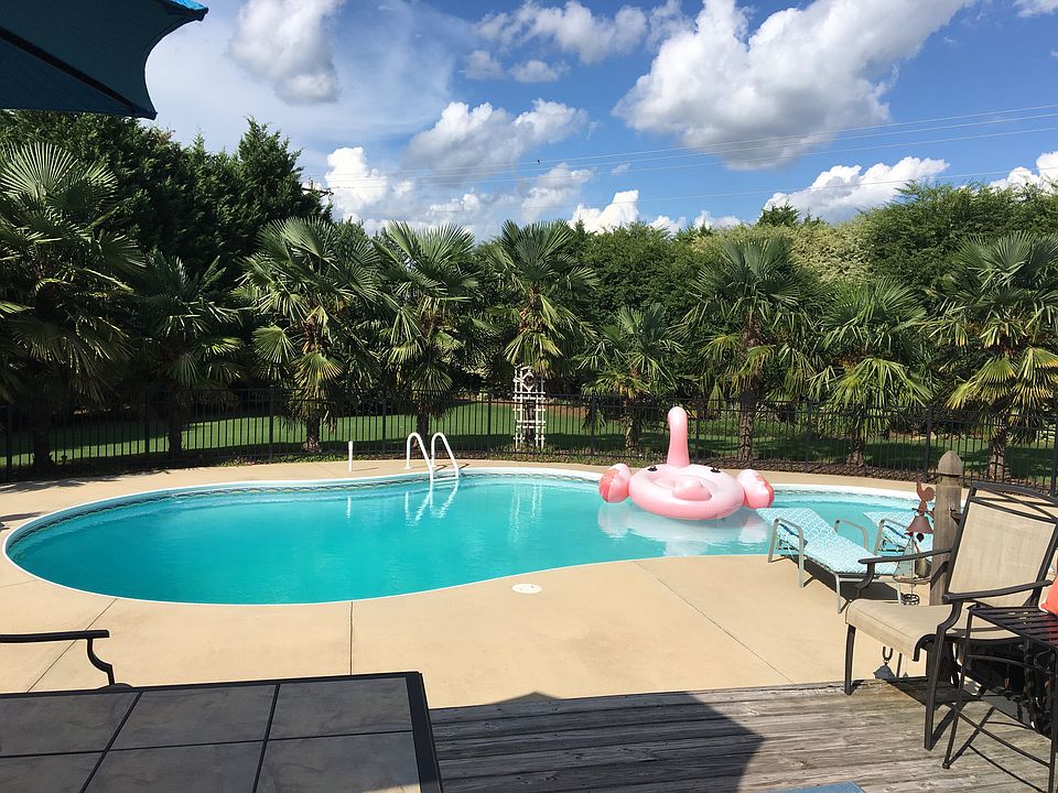 Backyard/Pool
