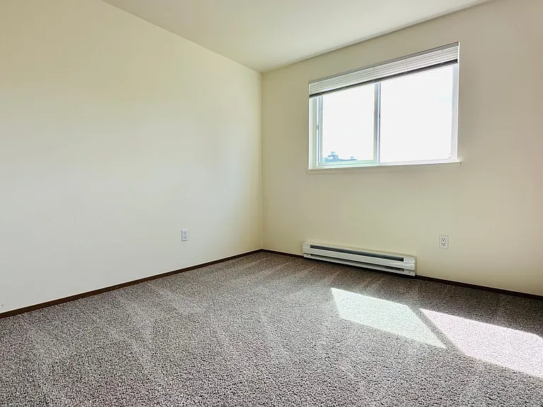 The Shannon Apartments — Photo 10