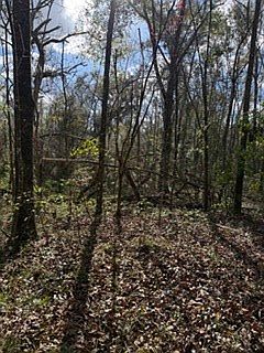 2nd image of  SW 22nd Pl