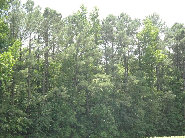 1st image of 4.10 Acres Indian Town Road