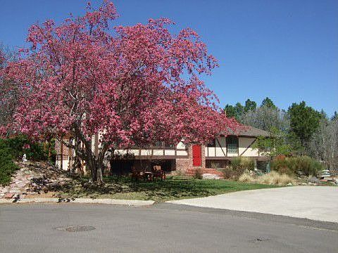 View from cul de sac