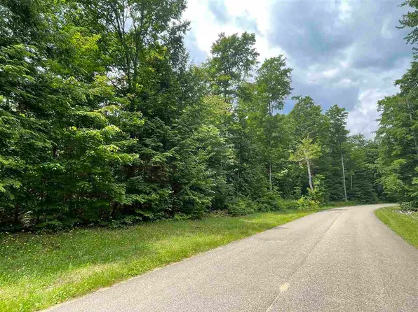 8162 Pleasantview Woods Dr, Harbor Springs, MI 49740