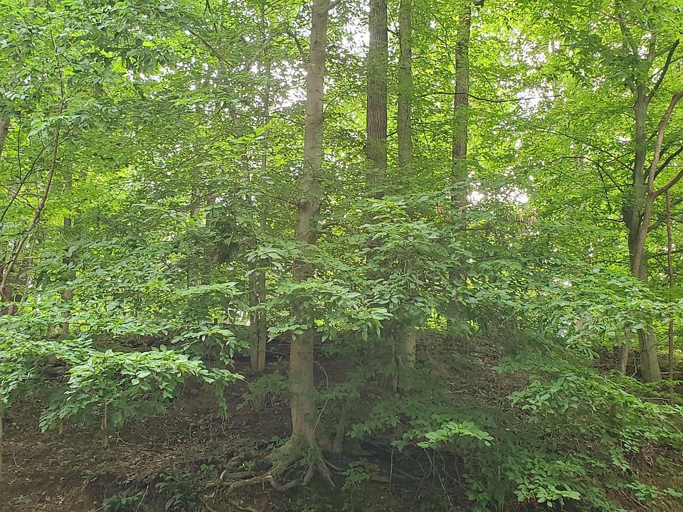 2nd image of 704 Natchez Ln