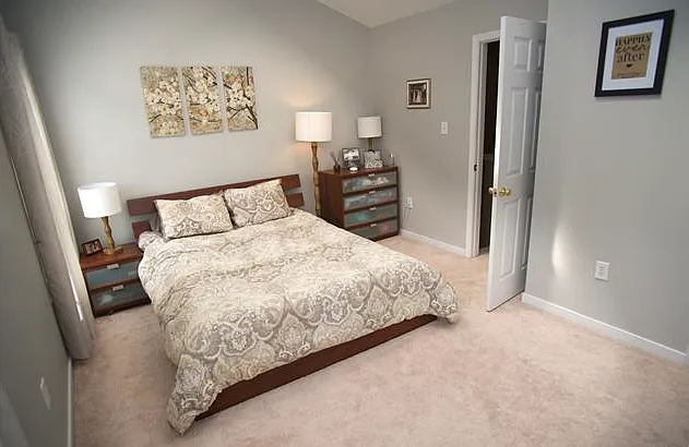 10715 Mountain Ash Dr — Photo 13