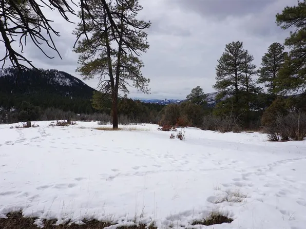 941 975,995 & 1027 Hurt Drive, Pagosa Springs, CO 81147