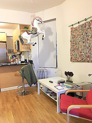3rd image of 224 E 27th St APT 3D