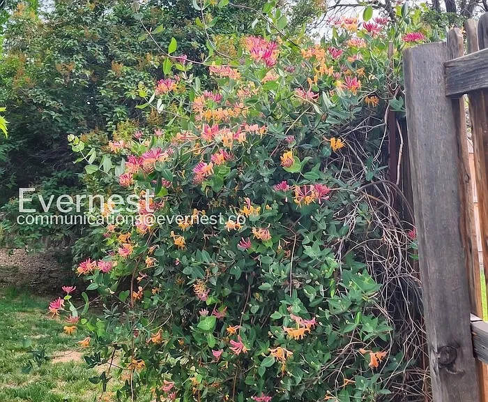 9225 Clermont Dr — Photo 28