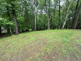 2 bed, 1.0 bath, 1024 sqft, $2,400 — Photo 4